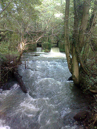 Sluice and rapids on the River Lyd just outside Norchard