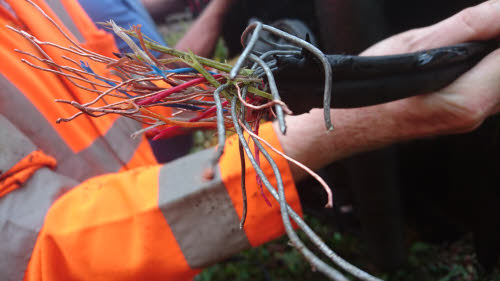 the flail versus the aerial cable