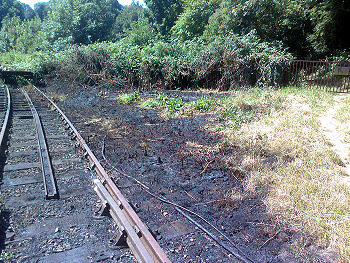 Lineside Fire at Middle Forge