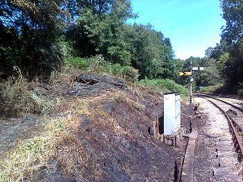 Lineside Fire at Middle Forge