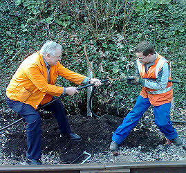 Stripping the cable sheath